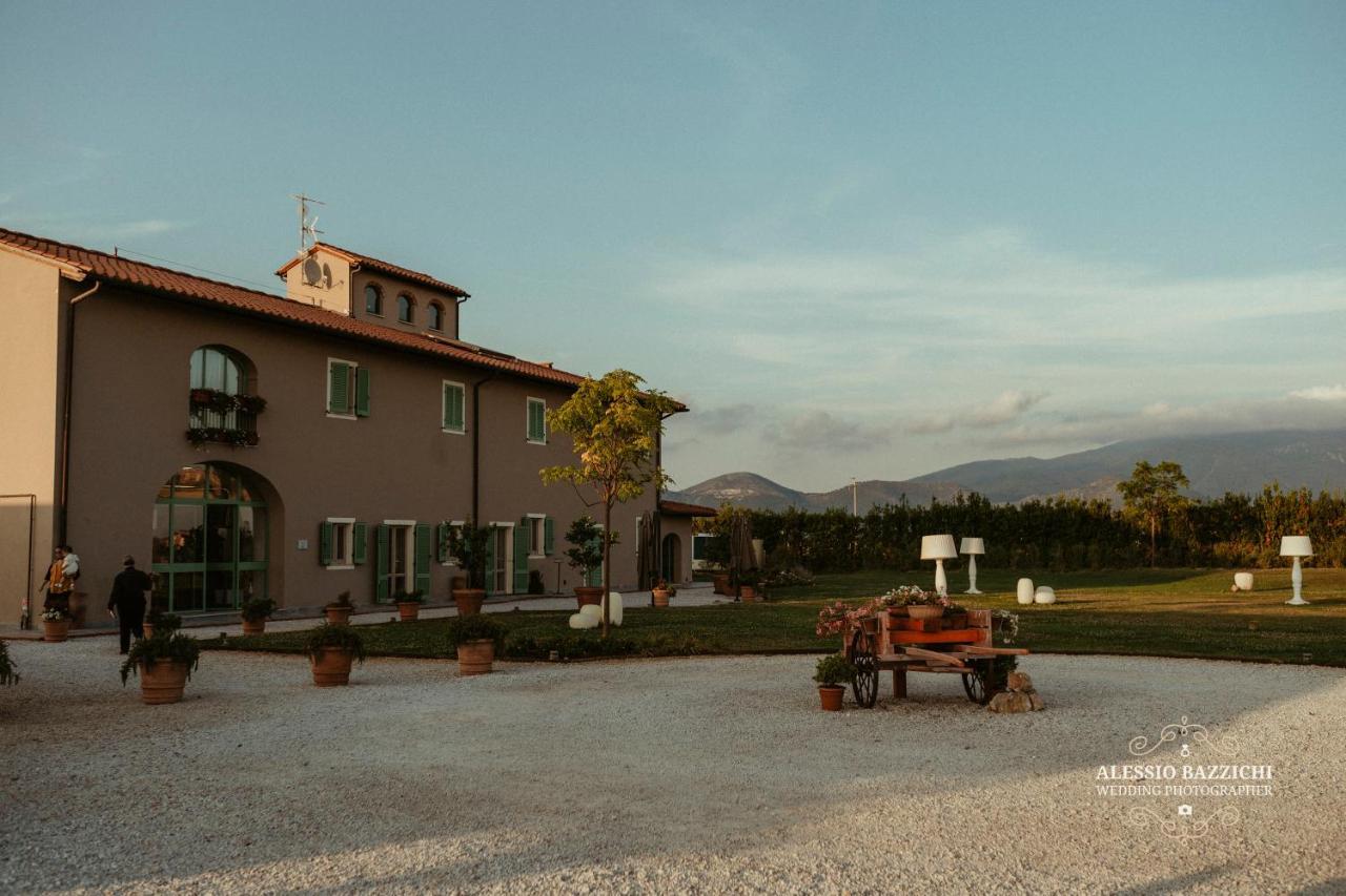 Fattoria L'Olmetto Villa Pisa Ngoại thất bức ảnh
