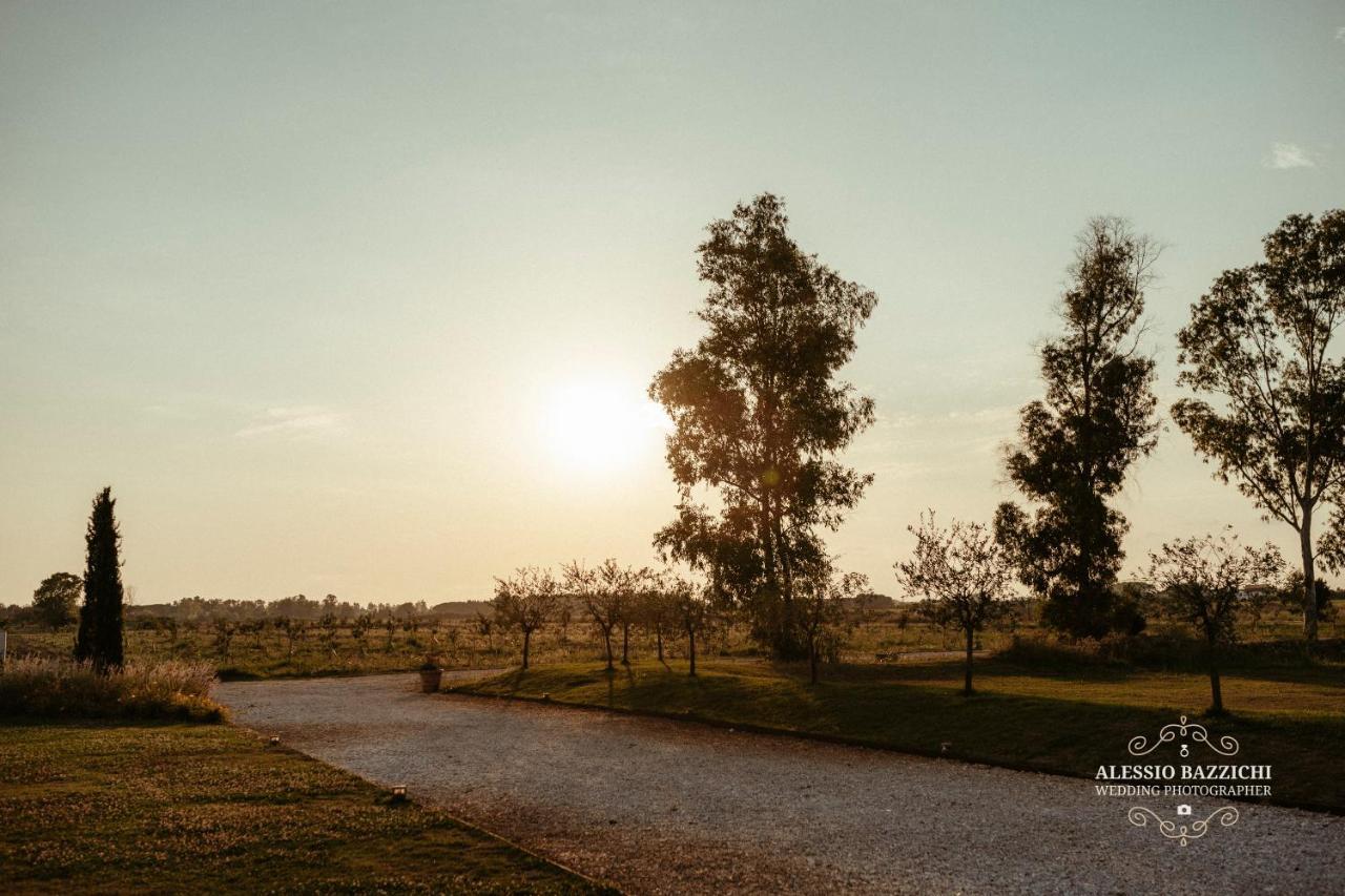 Fattoria L'Olmetto Villa Pisa Ngoại thất bức ảnh