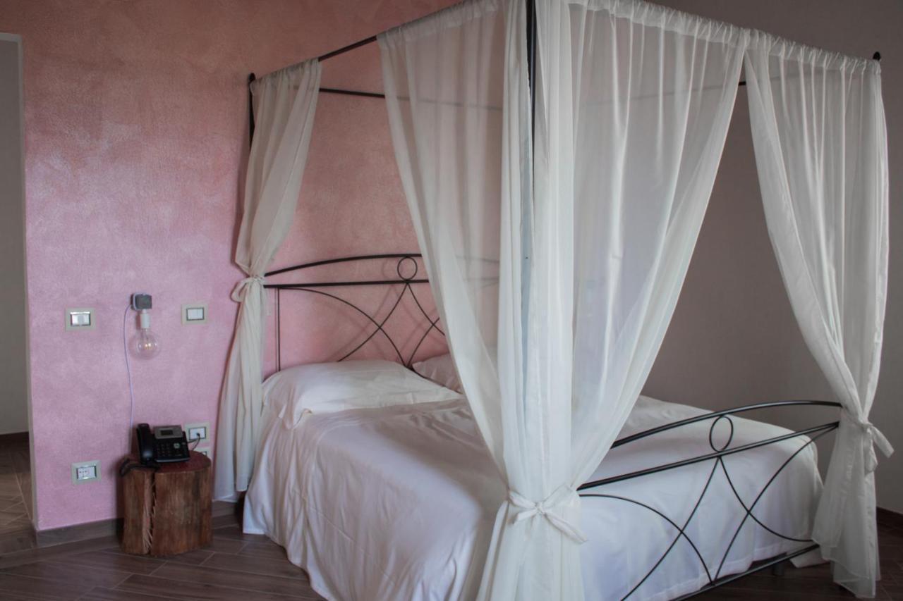 Fattoria L'Olmetto Villa Pisa Ngoại thất bức ảnh