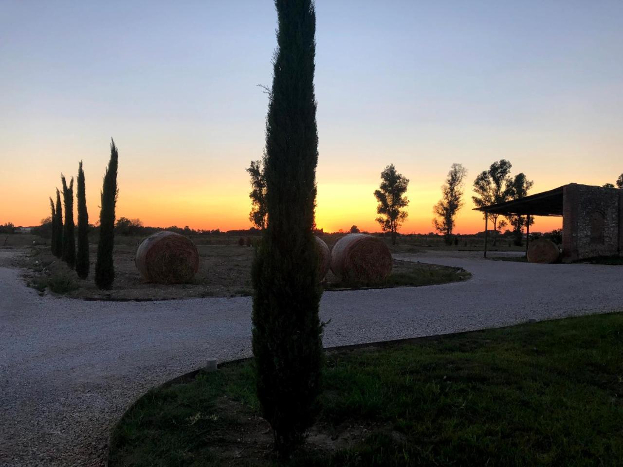 Fattoria L'Olmetto Villa Pisa Ngoại thất bức ảnh