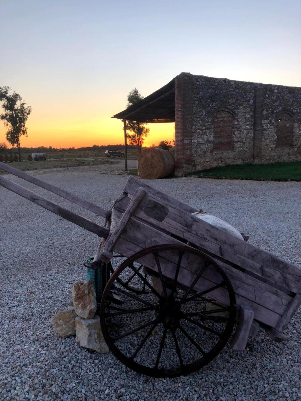 Fattoria L'Olmetto Villa Pisa Ngoại thất bức ảnh