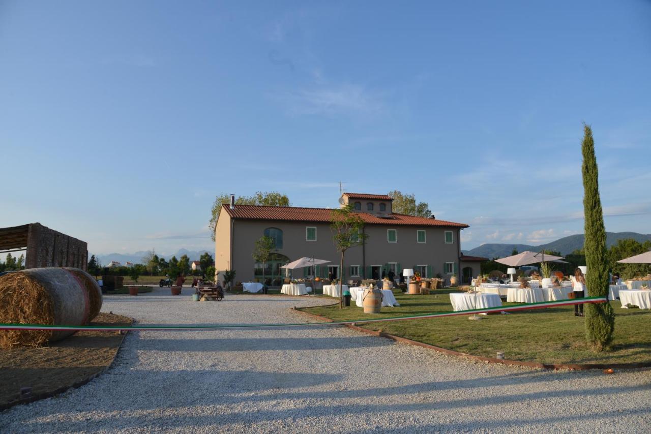 Fattoria L'Olmetto Villa Pisa Ngoại thất bức ảnh