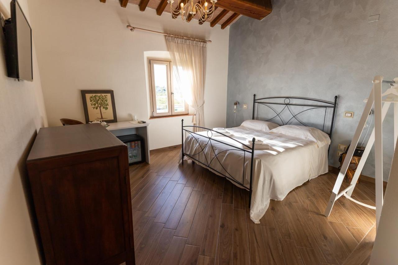 Fattoria L'Olmetto Villa Pisa Ngoại thất bức ảnh