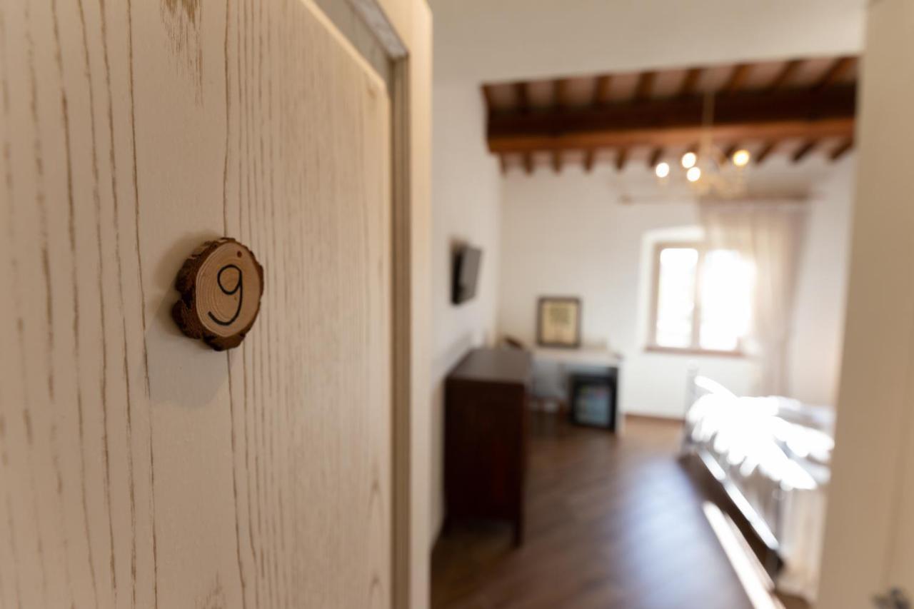 Fattoria L'Olmetto Villa Pisa Ngoại thất bức ảnh