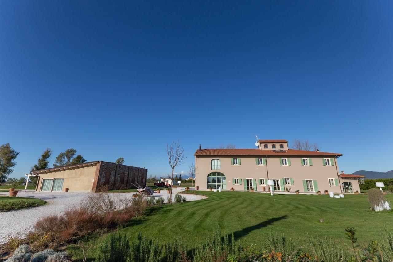 Fattoria L'Olmetto Villa Pisa Ngoại thất bức ảnh