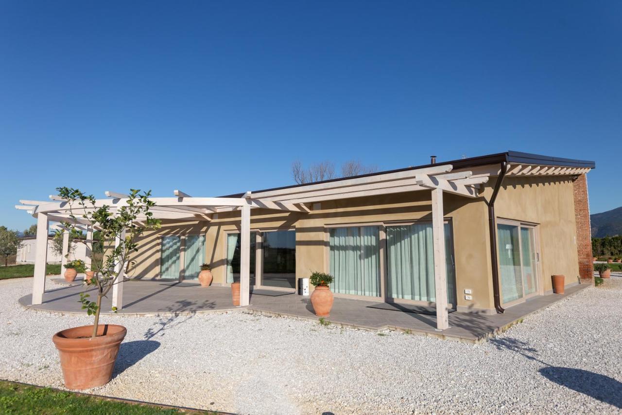 Fattoria L'Olmetto Villa Pisa Ngoại thất bức ảnh