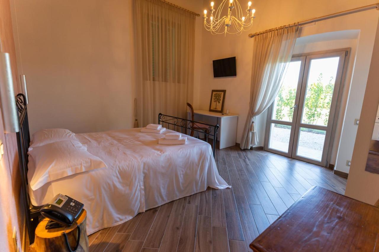 Fattoria L'Olmetto Villa Pisa Ngoại thất bức ảnh