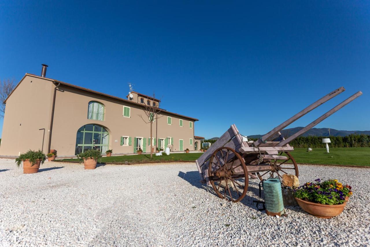 Fattoria L'Olmetto Villa Pisa Ngoại thất bức ảnh