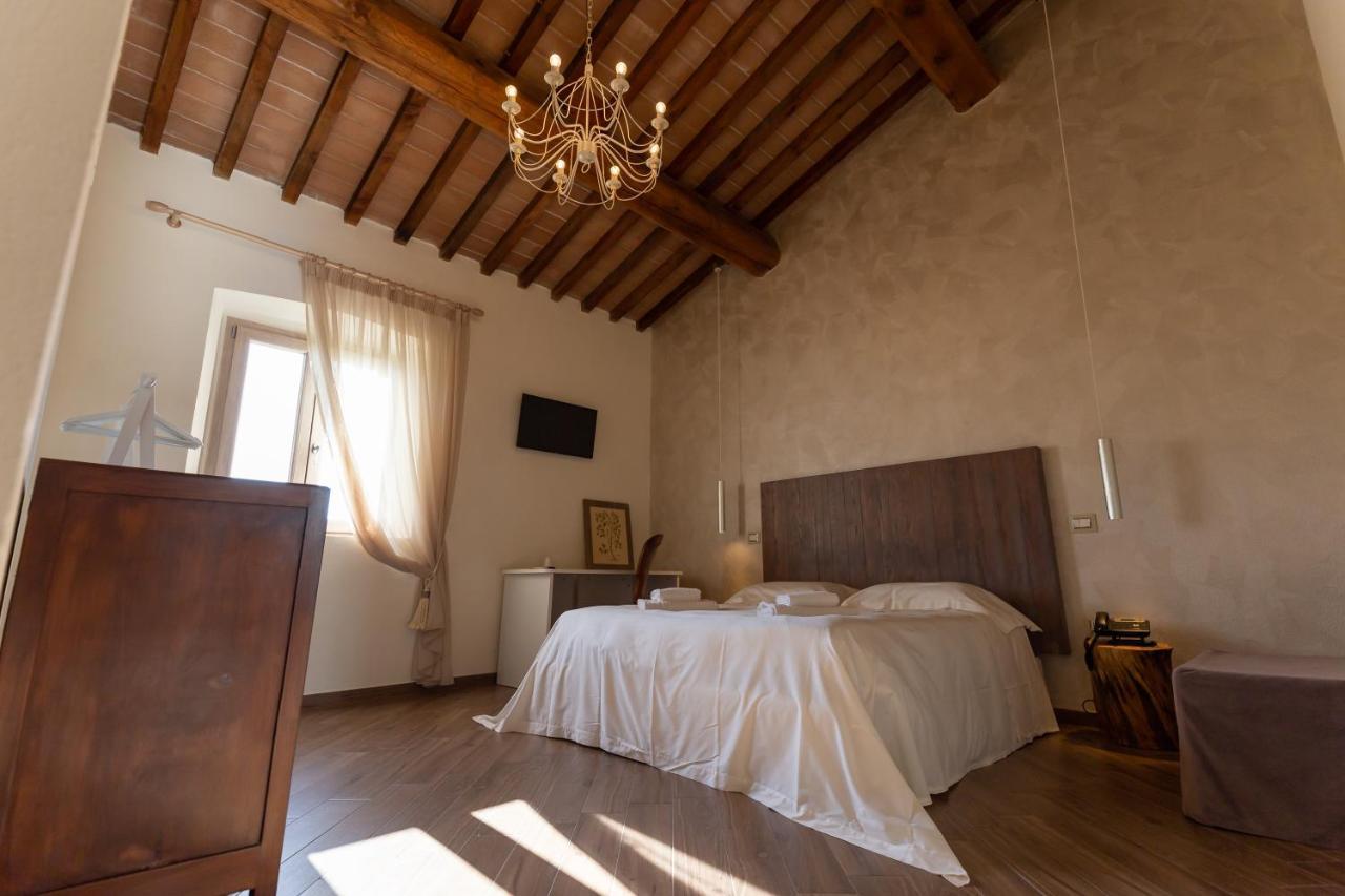 Fattoria L'Olmetto Villa Pisa Ngoại thất bức ảnh