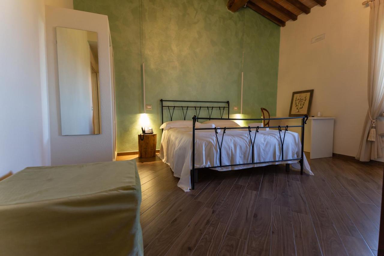 Fattoria L'Olmetto Villa Pisa Ngoại thất bức ảnh